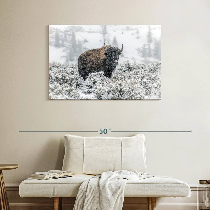 Brampt Lamar Valley Bison