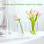 Vases à fleurs, vases décoratifs flottants modernes, vases en verre frais à double creux, ensemble de 3 (transparents)-2064085250