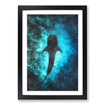 Whale Shark - Framed Print
