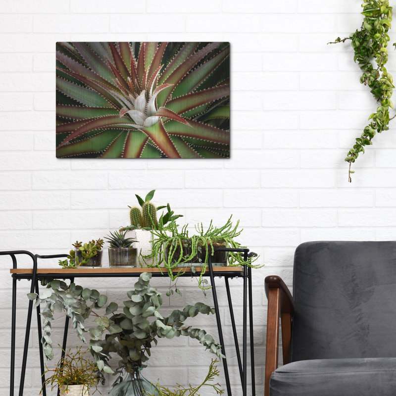 «Succulent VI» par Dennis Frates, H 12 po x l 16 po