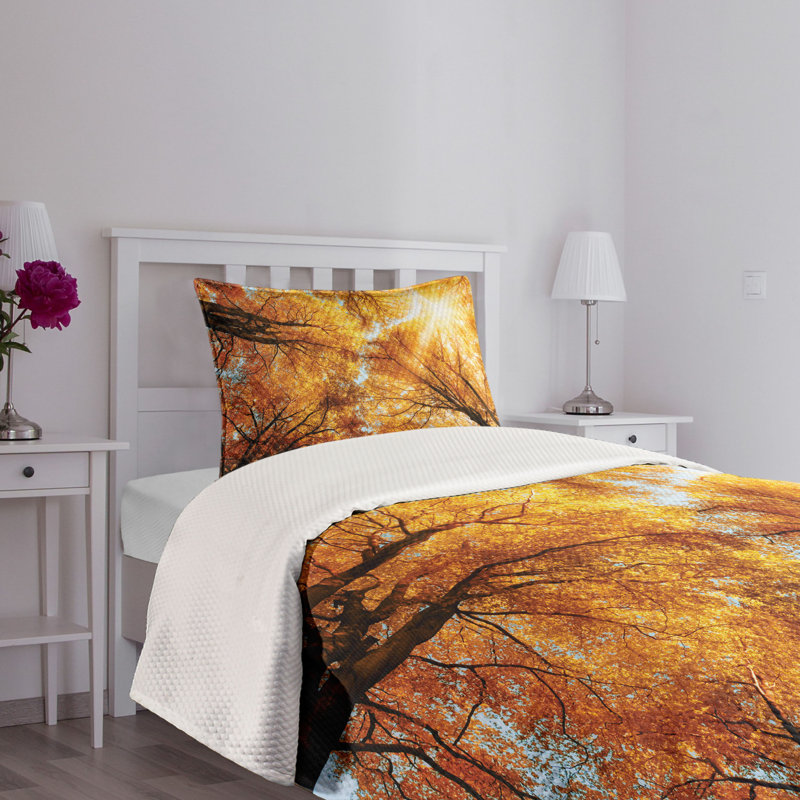 Autumn Sunbeams Forest Twin Bedspread Set in Brown Polyester