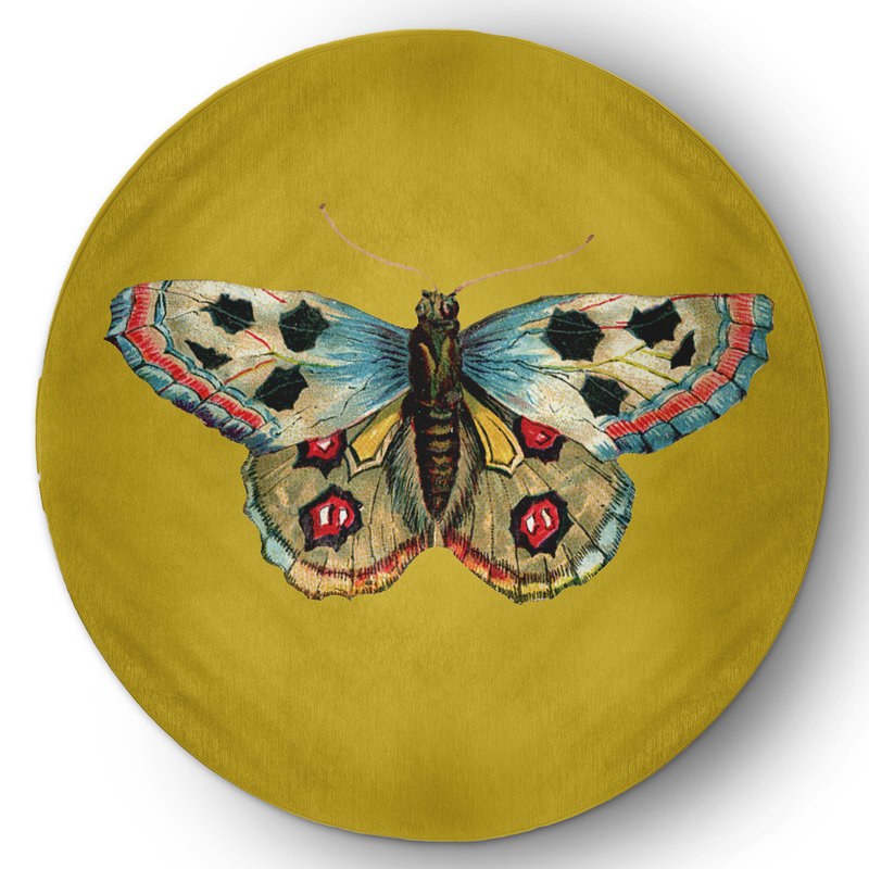 Aneisa Chenille Indoor Rug, Round 5'