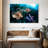 Brampt Atlantic Ocean Lionfish-108732104