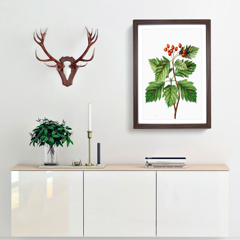Hawthorn Berry Tree by Pierre-Joseph Redoute - Picture Frame Painting Print, 36cm H x 27cm W x 2cm D, Walnut Framed