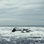 Ocean Rock Crash - impression