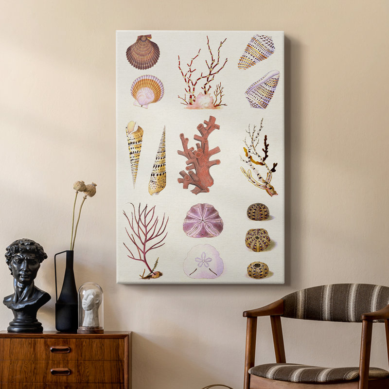 Coral & Shell Collage II - galerie Cavas sur mesure, H 18 po x l 12 po