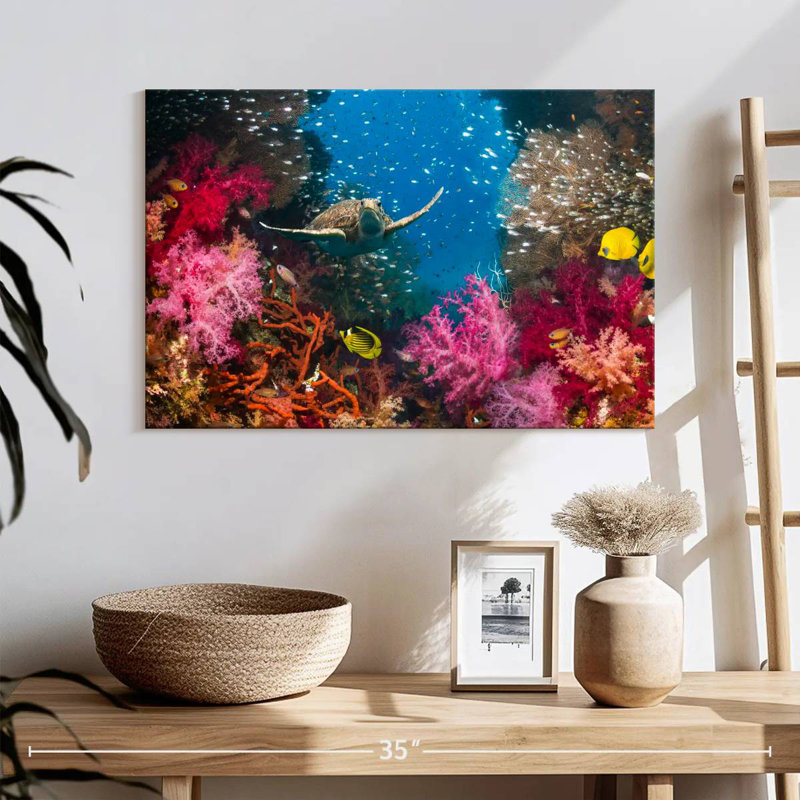 Aletra Underwater Reef Turtle
