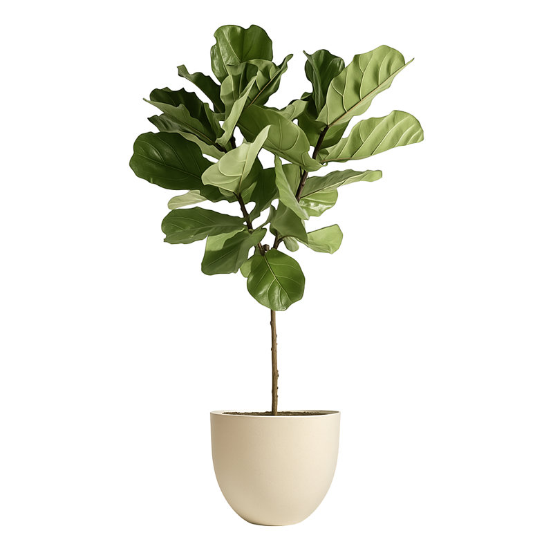 Dorlis Handmade Pot Planter, 10" H x 12" W x 12" D, Linen