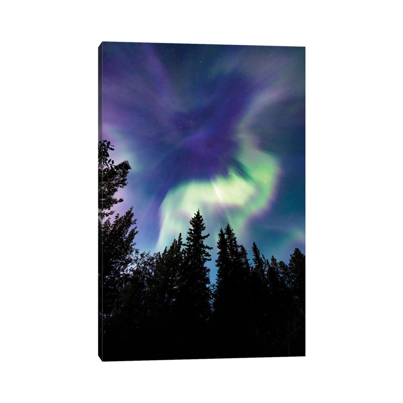 Up In The Sky by Lucas Moore - Wrapped Canvas Print, 20.32 cm H x 30.48 cm W