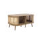 Amanni 1 Piece Coffee Table-1005973560