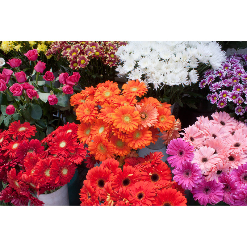 Variety Of Colourful Flower Bouquets - Wrapped Canvas Print, 30cm H x 46cm W x 3.8cm D