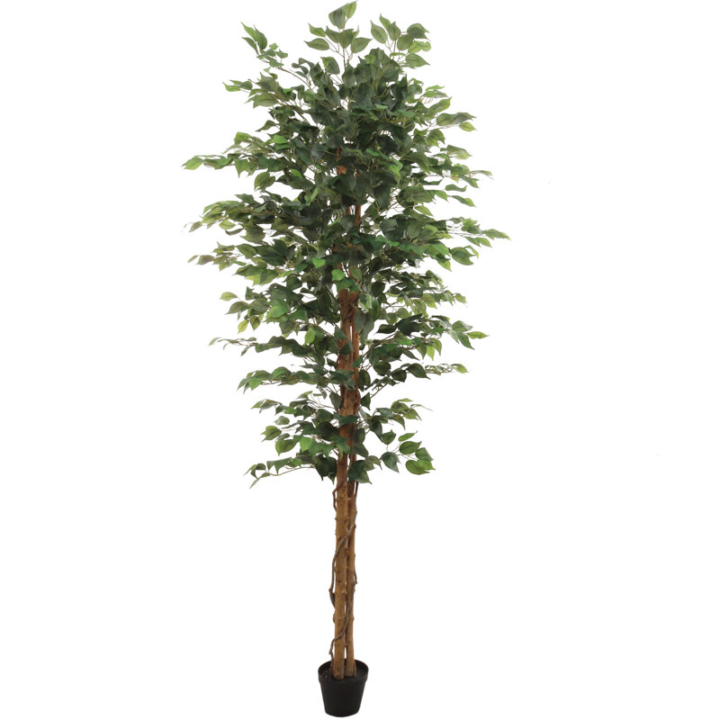 Ficus artificiel de 7 pieds de hauteur - Faux arbre vert en pot, H 84 po x l 26 po x P 12 po