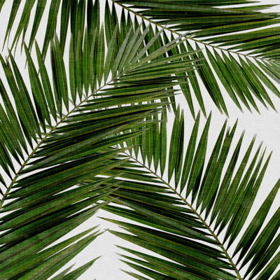 Orara Studio Palm Leaf III