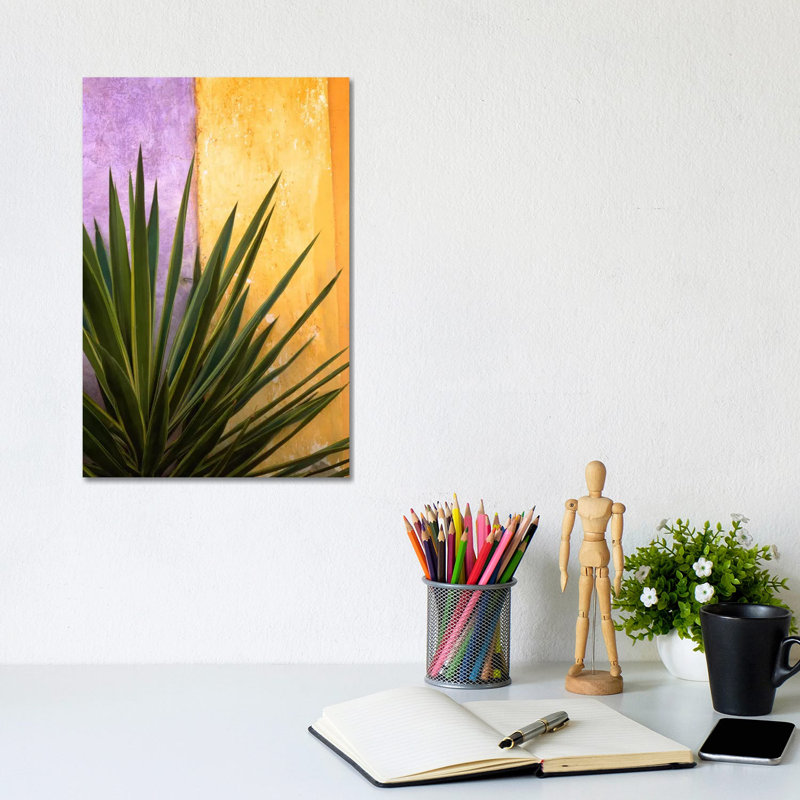 Tlaquepaque Bouquet, Tlaquepaque, Mexico by Jim Nilsen - Wrapped Canvas Painting, 20.32 cm H x 30.48 cm W