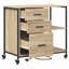 Storage Cabinet-1539117740