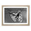 Two Butterflies - Picture Frame Painting Print-55615097-55615095