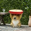 Table d'appoint en résine avec capybara