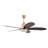Mahawa 52" Ceiling Fan with LED Lights-1138054878