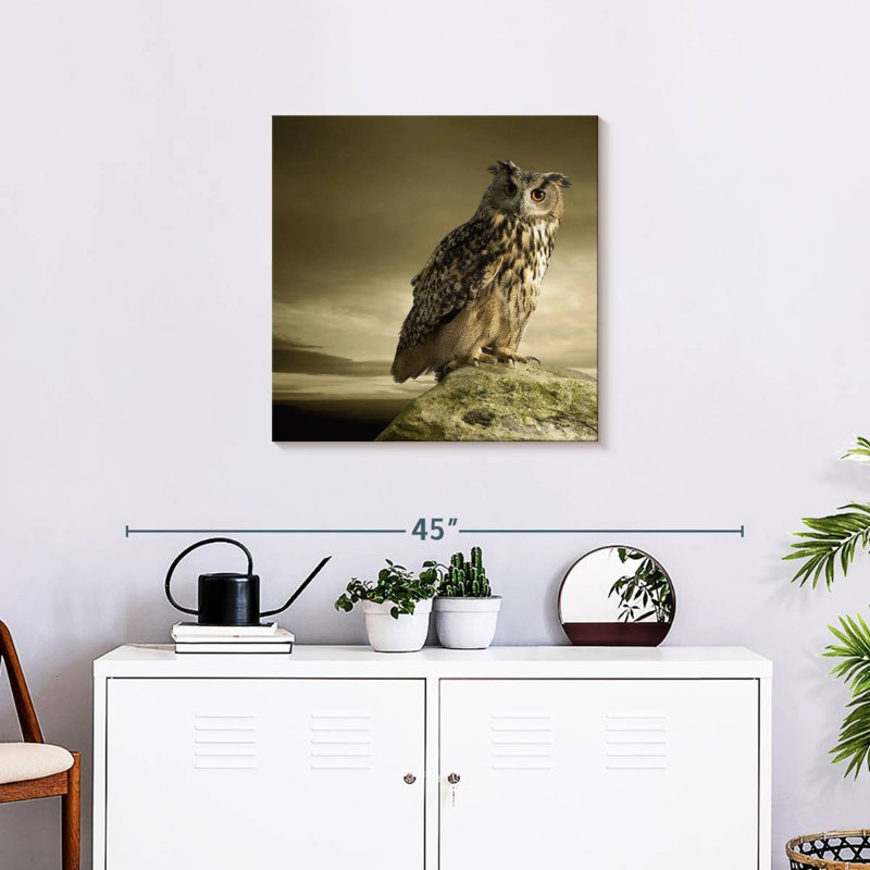 Brampt Owl On A Rock