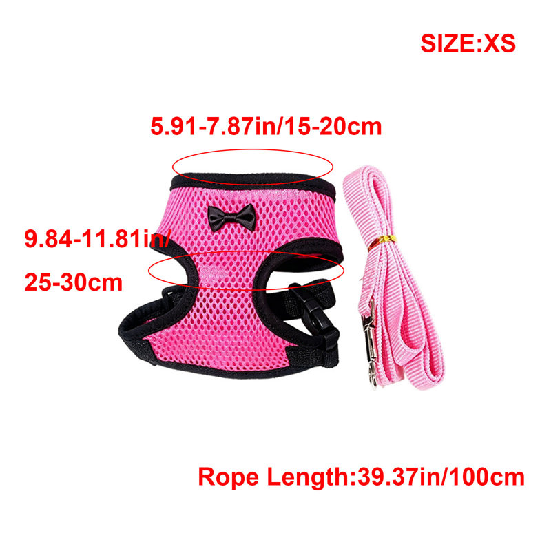 Paquet de 2 sangles en polyester pour animal de compagnie avec laisse pour poulets et oies, TP
