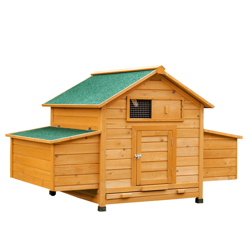 Chicken Coop Outdoor with Nesting Box 150 x 100 x 97cm Yellow 