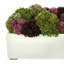 Succulent Sedum in Fiberstone Planter-1228368897-1228368898