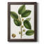 Cerisier figuier - reproduction de cadre photo sur toile-73982400