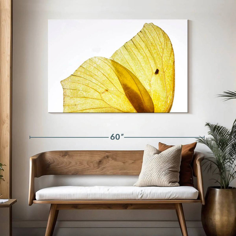 Brampt Golden Yellow Butterfly Wings