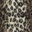 Wild Leopard Throw Blanket