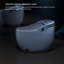 Toilette intelligente 12 po 15,75 po 12 po à siège rond 12 po