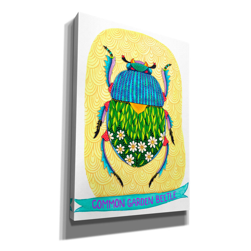 «Common Garden Beetle Mounted» par Hello Angel, art mural sur toile, H 26 po x l 18 po x P 0,75 po