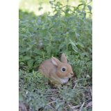 Sitting Rabbit Statue