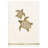 4 Piece 100% Turkish Cotton Towel Set-77458433