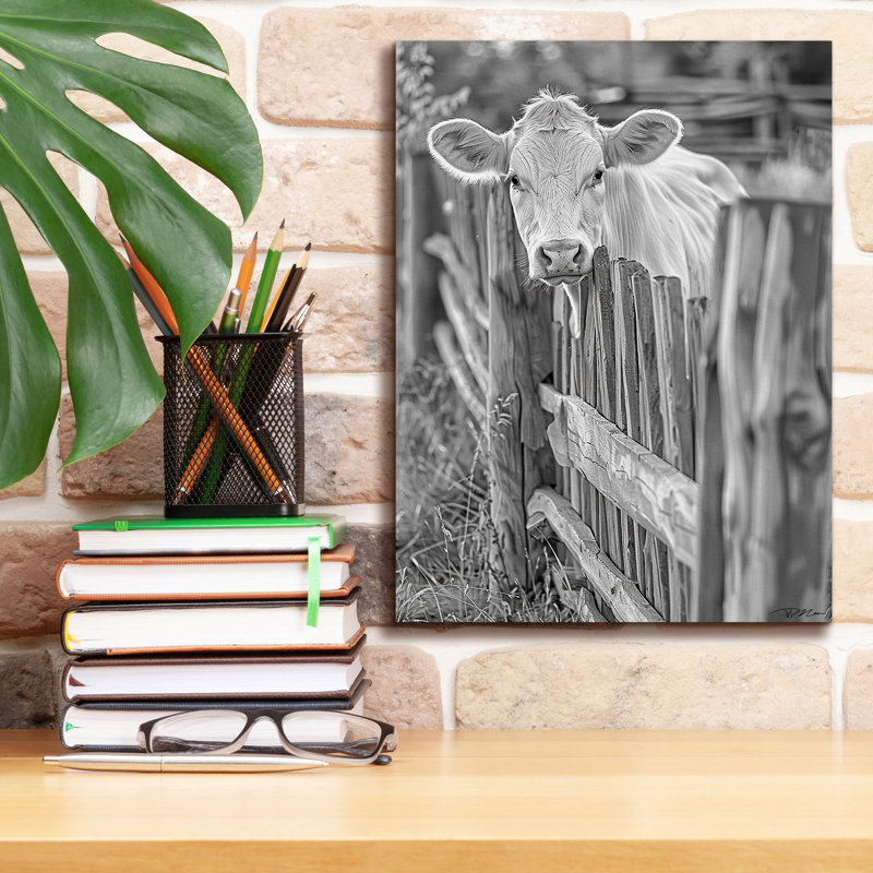 Art mural sur toile Epic Graffiti «Photo White And Black Calf» par Momart, H 16 po x l 12 po x P 0,75 po