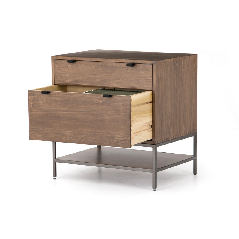 Trey 2 - Drawer Solid Wood File Cabinet, Auburn Poplar