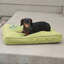 Coussin intérieur / extérieur pour chien Just Relaxin 'Classic-820131938-820131939