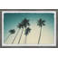 Palm and the Blue Sky 1 Piece Single Picture Frame Wall Art-769938635