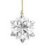2024 Optic Snowflake Ornament