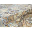 Oriental Area Rug in Light Blue/Ivory/Brown