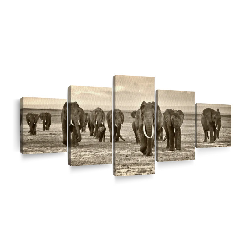 Troupeau d'éléphants sur toile 5 pièces, H 42 po x l 92 po x P 1,25 po
