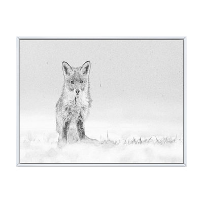 " Fox Sketch In Winter II "