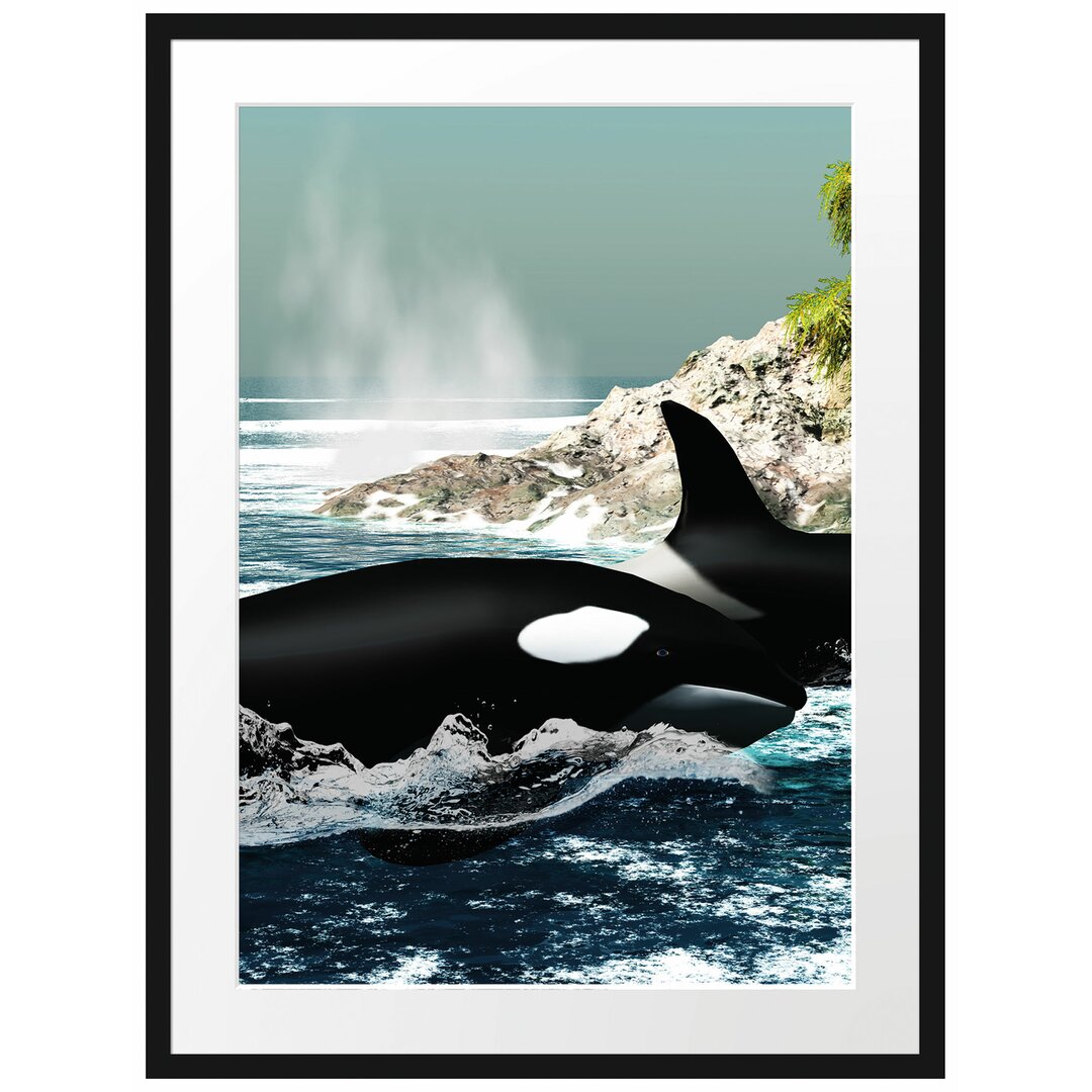 Gerahmtes Poster Orcas vor Insel