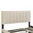 Chavanne Velvet Upholstered Platform Bed with Drawers and Trundle-1547508939
