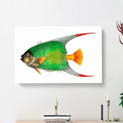 Angelfish by George Shaw - Wrapped Canvas