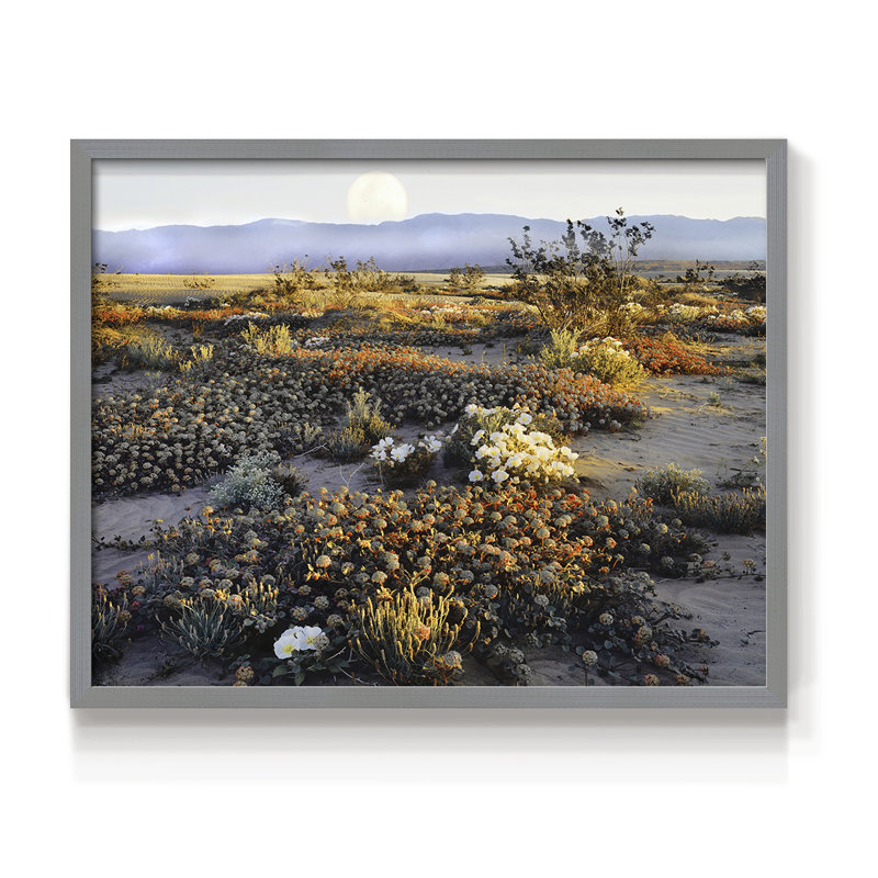 Anza Borrego - impression encadrée - réaménageable, H 16 po x l 20 po, Gris