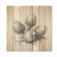 Fleurs de chardon noir et blanc - chardon sur bois-1930309025