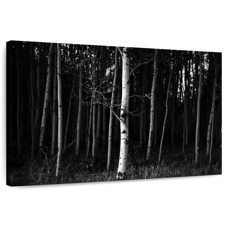 Harnek Black Forest, 34" H x 51" W