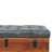 Buffalo Hide Leather Storage Trunk