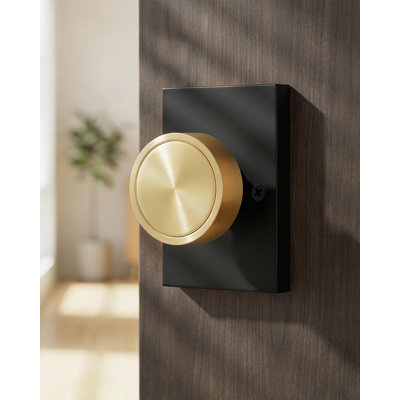 Poignée de porte factice noire et dorée, en alliage de zinc, fini noir et doré mat, robuste et moderne, pour couloir, vendue par lot de 2 (1 pièce).