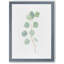 « mou eucalyptus branch iv » par paul cezanne-photo, reproduction d’art encadrée-1378864494-1378864489-1378835973